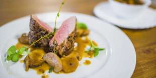 Pečená bravčová panenka podávaná na dubákovej omáčke