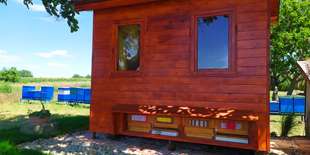 Kráľovstvo včiel Med Knížat - pobyt v apidomčeku