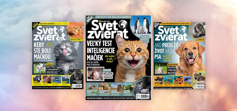 Ročné predplatné časopisu Svet zvierat