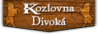Kozlovna Divoká
