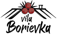 Vila Borievka***