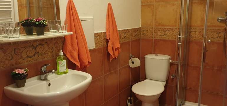 Koupelna s WC a sprchovým koutem je udržována v čistotě