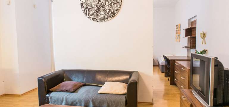 Lion Apartment 8 na Medenej pre 4 osoby sa rozkladá na 56 m2