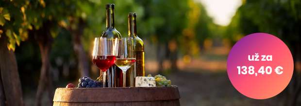 Pobyt s degustáciou a neobmedzenou konzumáciou vína vo Vinárstve Lintner