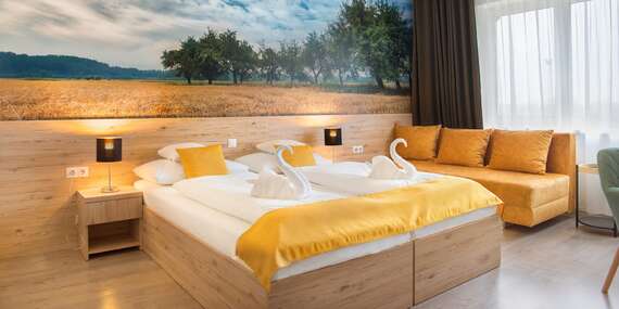 Wellness či rodinný pobyt ve wellness hotelu Gyirmot se snídaní i vstupy do ZOO v Győru/Maďarsko - Győr