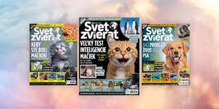 Ročné predplatné časopisu Svet zvierat