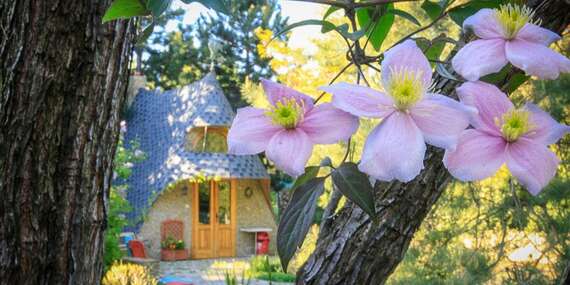 Ozdravné senior pobyty v penzióne Harmony Rezort*** s liečebnými procedúrami a bohatou polpenziou/Piešťany
