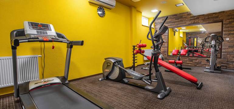 Fitness v Hoteli Alexander****