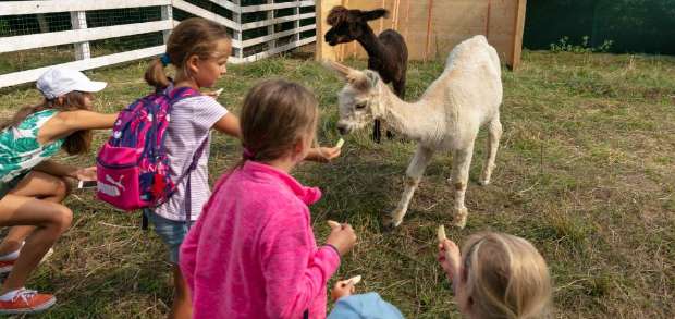 ekopark piestany kam na vylet