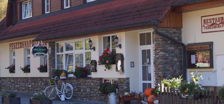 Penzion na Podlesí