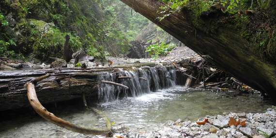 Skupinový ferratový kurz v teréne v lokalite Kyseľ v Slovenskom raji s certifikovaným horským sprievodcom/Slovenský raj - Kyseľ