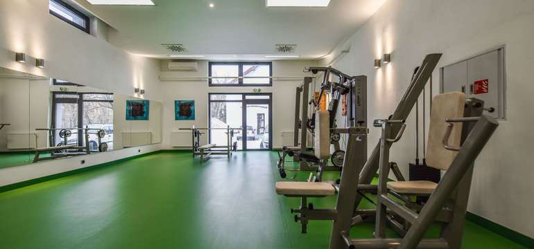 Kaštieľ Mojmírovce, fitness