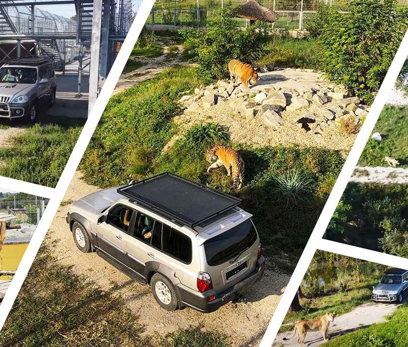 Jedinečný "Safari výlet" na Slovensku v Malkia parku