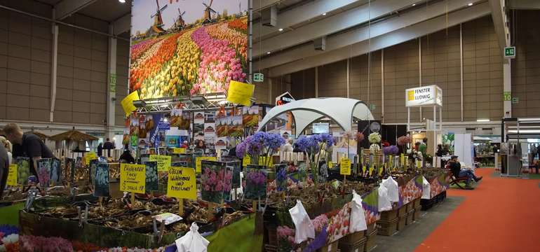Predajné stánky s cibuľkami a kvetmi na kvetinovom festivale v Tullne