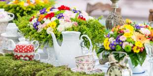 Vstupenka na výstavu Flóra Bratislava 2022 | Jarné trhy