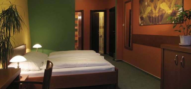 Hotel U Leva