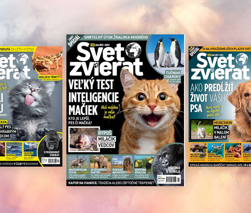 Ročné predplatné časopisu Svet zvierat