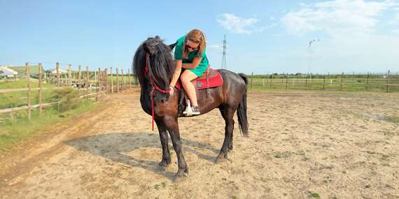 Prechádzky na koni, tréning jazdenia aj kúžok pre deti/Šenkvice
