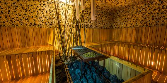 Thermal ŠÍRAVA SPA RESORT**** s polpenziou a neobmedzeným vstupom do Thermalparku/Zemplínska šírava