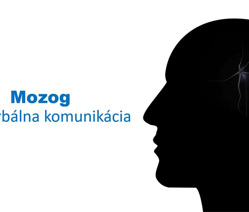 Online webinár - Reč tela