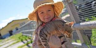 Ochutnávka syrov, zážitková prehliadka farmy a kŕmenie ovečiek na farme Východná