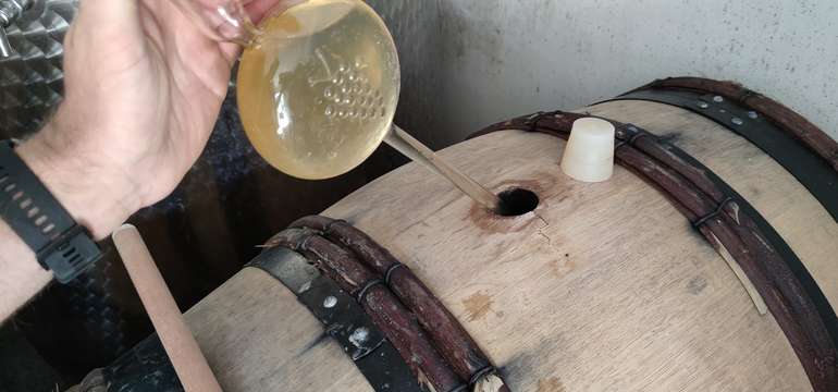 Darčekový poukaz na ochutnávku vín Hrčka&Benian Winery so súkromným degustovaním