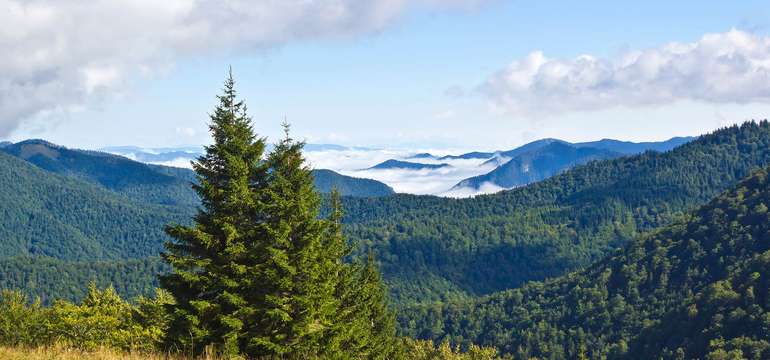 Veľká Fatra