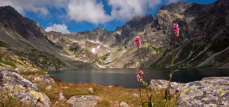 Veľké Hincovo pleso