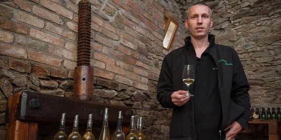 Pobyt s degustací a neomezenou konzumací vína ve Vinařství Lintner na Znojemsku/Jižní Morava - Znojmo