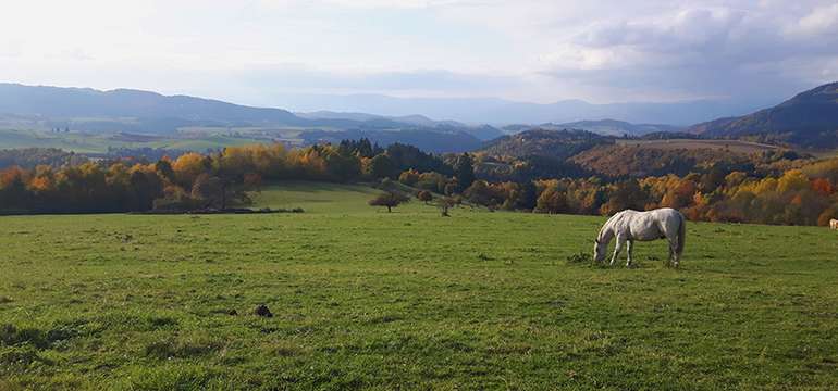 Ranč Čelienec