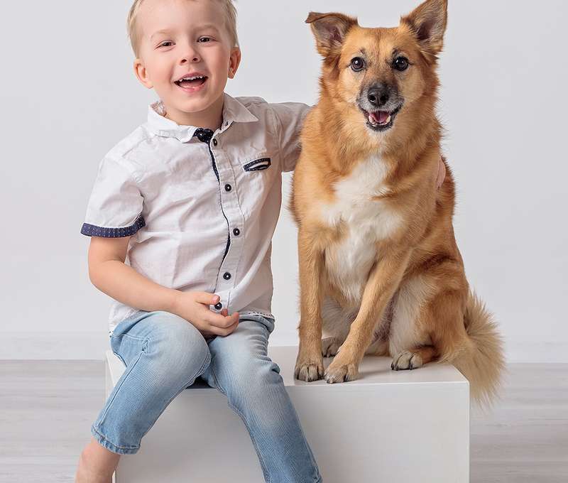  Profesionálne fotenie s domácimi miláčikmi