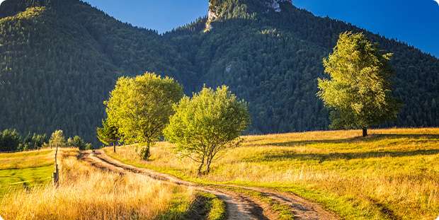Národný park Malá Fatra