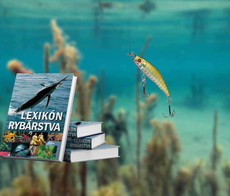 Lexikón rybárstva