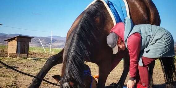 Tréning jazdenia, krúžok pre deti aj prechádzky na koni/Šenkvice