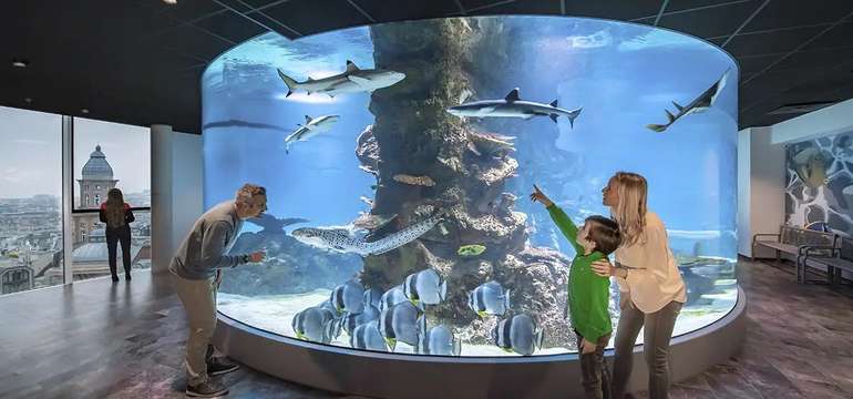 Zážitková Viedeň: Dom morí a ZOO Schönbrunn