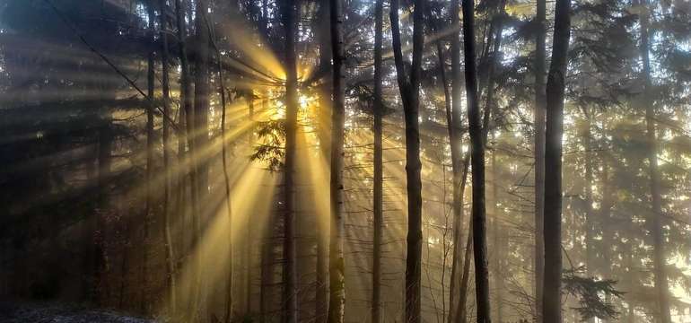 Dokonalá príroda navôkol vás obalí relaxom a novou energiou