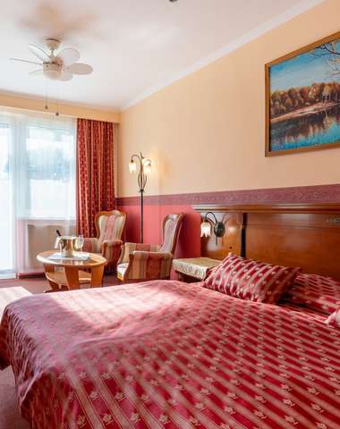 De-luxe izba s originálnymi obrazmi a elegantnými doplnkami (za príplatok)