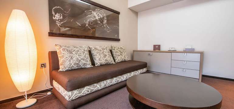 Hotel DIPLOMAT **** – apartmán typu Štandard