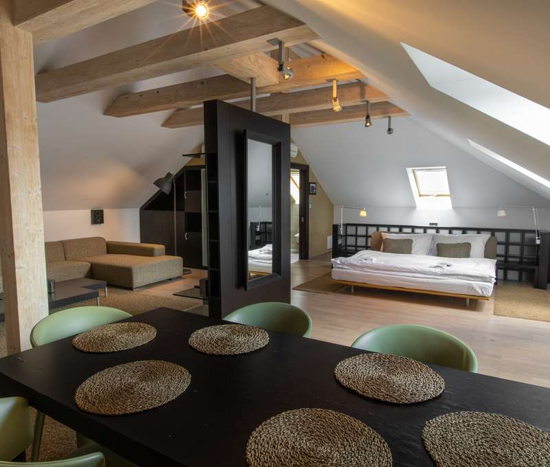 Hotel Villa Nečas****, ubytovanie  v apartmáne