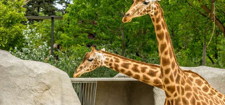 Návštěvu ZOO můžete vyměnit za botanickou zahradu, která je zdarma