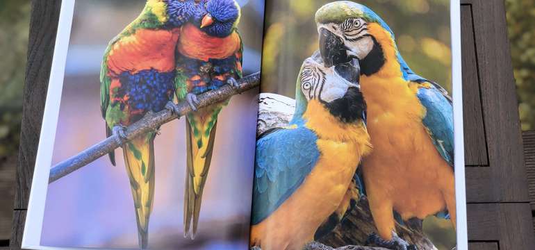 Kvalitná fotokniha z vašich obľúbených fotografií