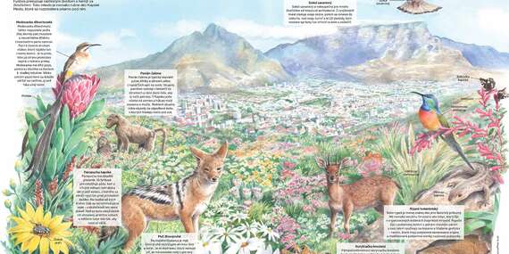 Ročné predplatné - 4 vydania časopisu Svet zvierat/Slovensko