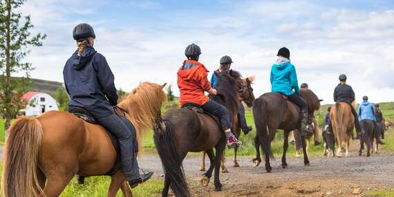 Lekcie jazdenia na koni s inštruktorom pre deti aj dospelých/Bratislava - Podunajské Biskupice