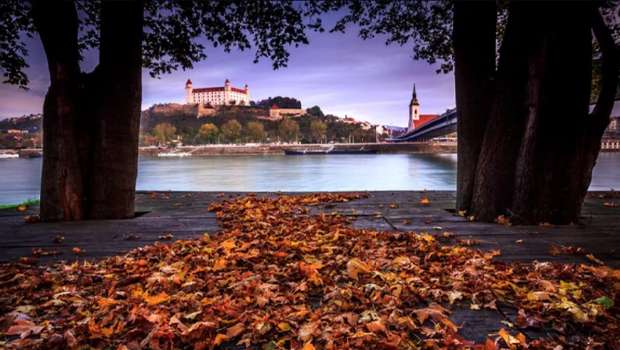 bratislava - Kacacie a husacie hody