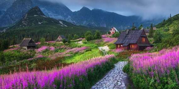 Apartmán Sosna Zakopané pre ničím nerušenú dovolenku a turistiku v poľských Tatrách/Poľsko - Zakopané