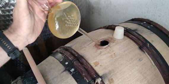 Darčekový poukaz na riadenú degustáciu vín Hrčka&Benian Winery/Trnava