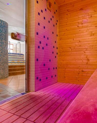 Wellness Hotel Patince****, sauna