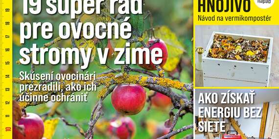 Ročné predplatné časopisu Urob si sám - nový impulz pre každé tvorivé „ja"/Slovensko