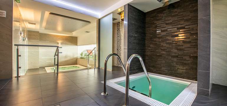 Jacuzzi, fínska, parná, infrasauna, ochladzovací bazén, masážna sprcha, relaxačná zóna
