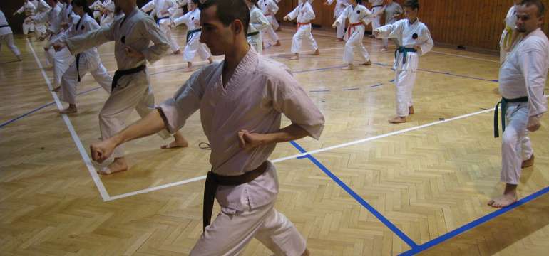 Karate a kobudo posilňujú telesnú a duševnú kondíciu